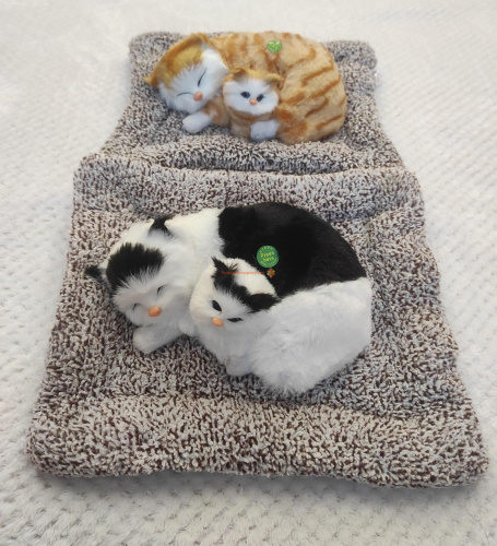 "Кошка с котенком" во Асбесте