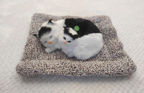 "Кошка с котенком" во Асбесте фото 2